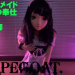 アニメ顔に改造され全力で主人に尽くすもお仕置きされた生贄