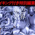【HD】銀色世界 小坂ひまり -メイキング付き特別編集版-